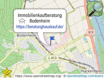 Karte und Gebiet der Immobilienkaufberatung Bodenheim